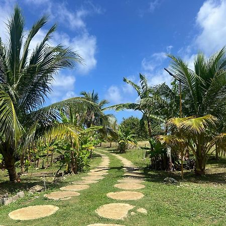 The Sea Cliff Hotel Resort & Spa Port Antonio Exterior foto