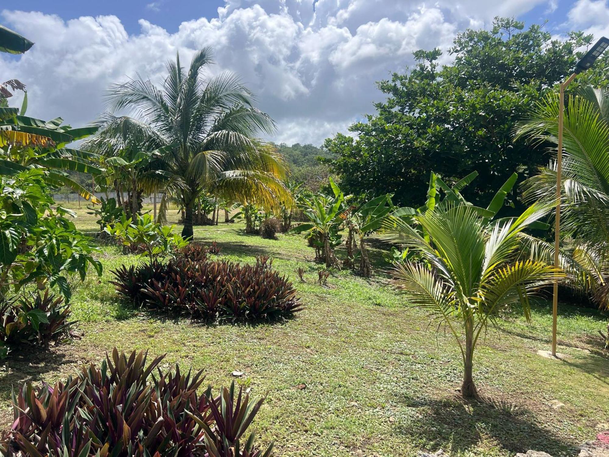 The Sea Cliff Hotel Resort & Spa Port Antonio Exterior foto