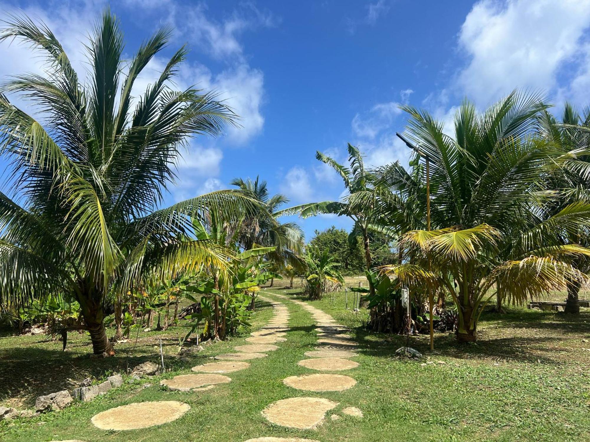 The Sea Cliff Hotel Resort & Spa Port Antonio Exterior foto