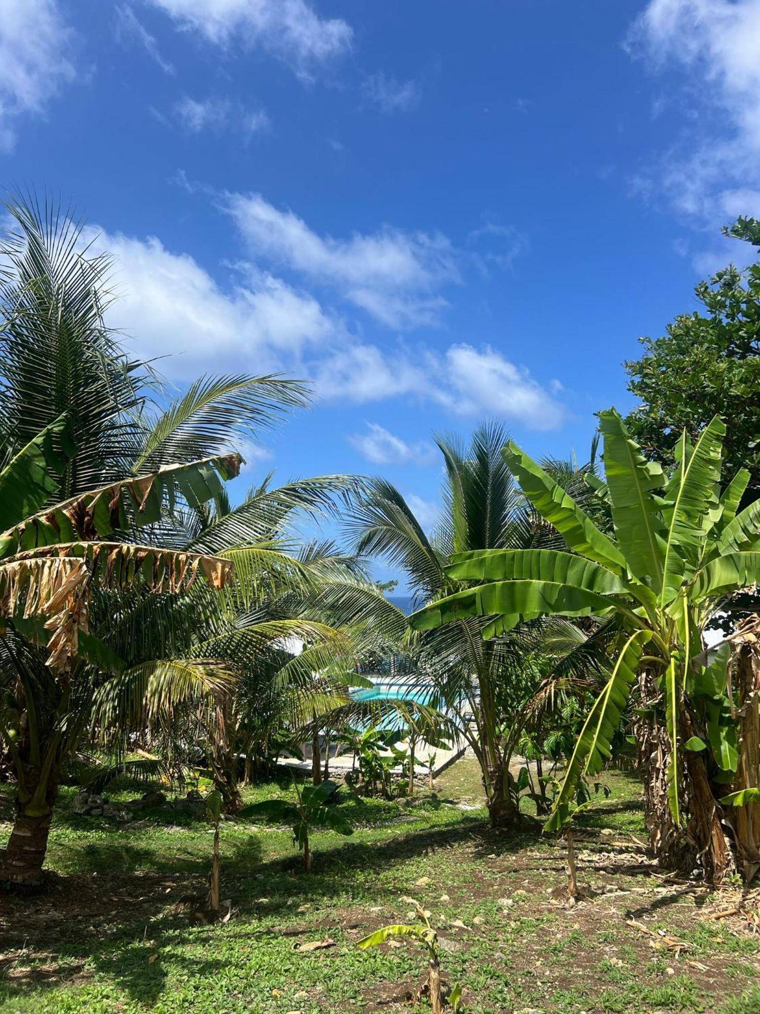 The Sea Cliff Hotel Resort & Spa Port Antonio Exterior foto